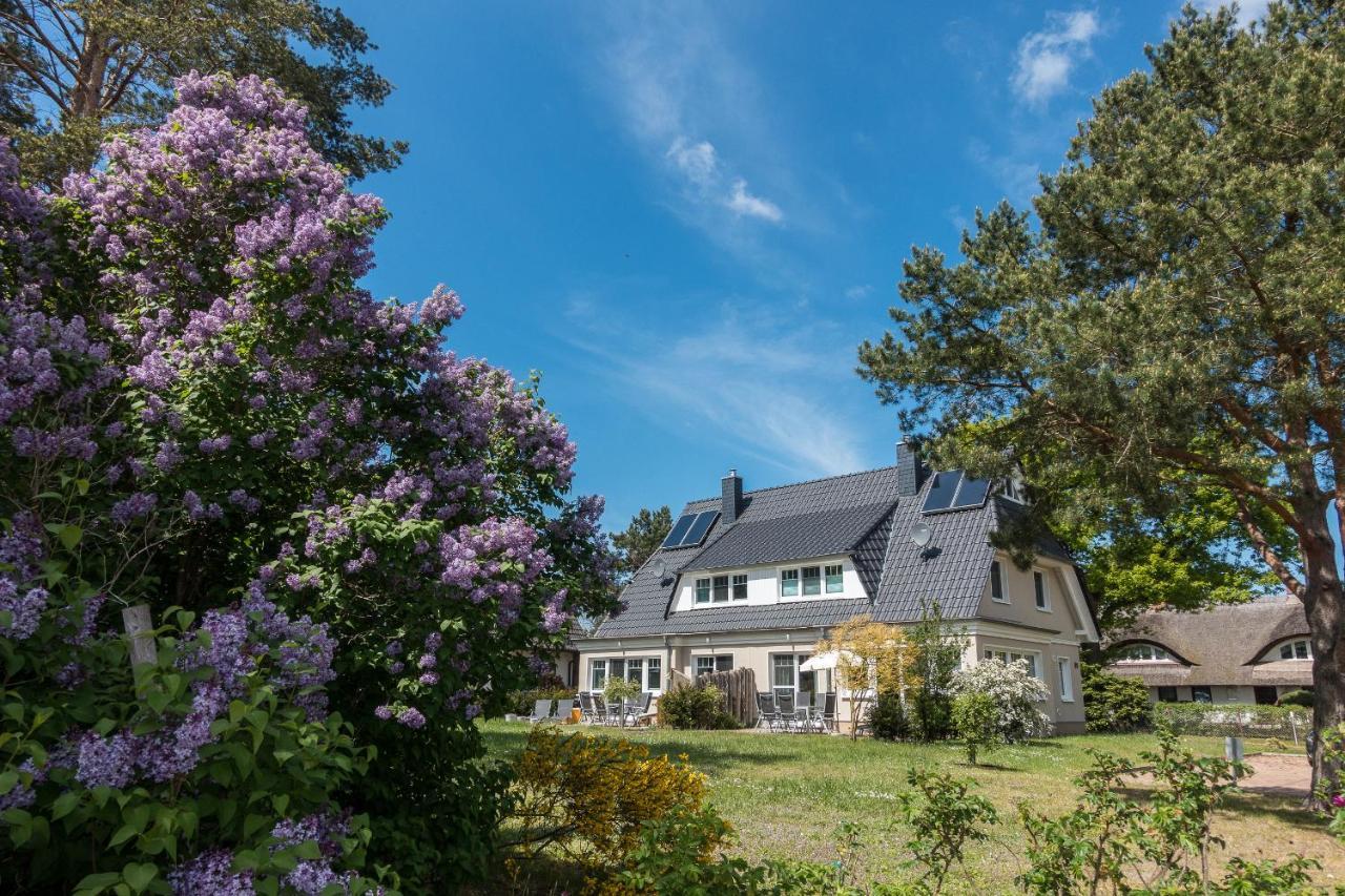 Premiumhaus Bodden Und Mehr-Brise Villa Born Buitenkant foto