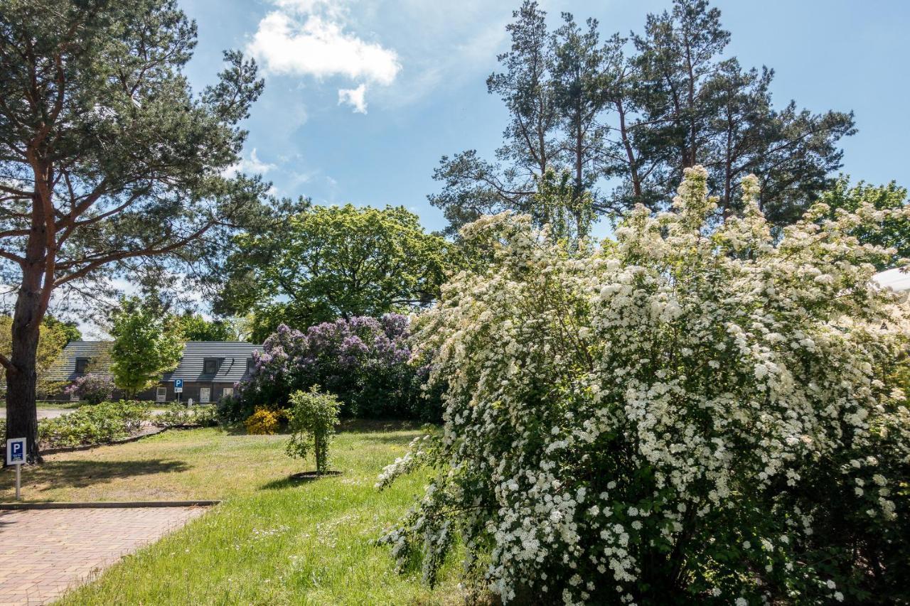 Premiumhaus Bodden Und Mehr-Brise Villa Born Buitenkant foto