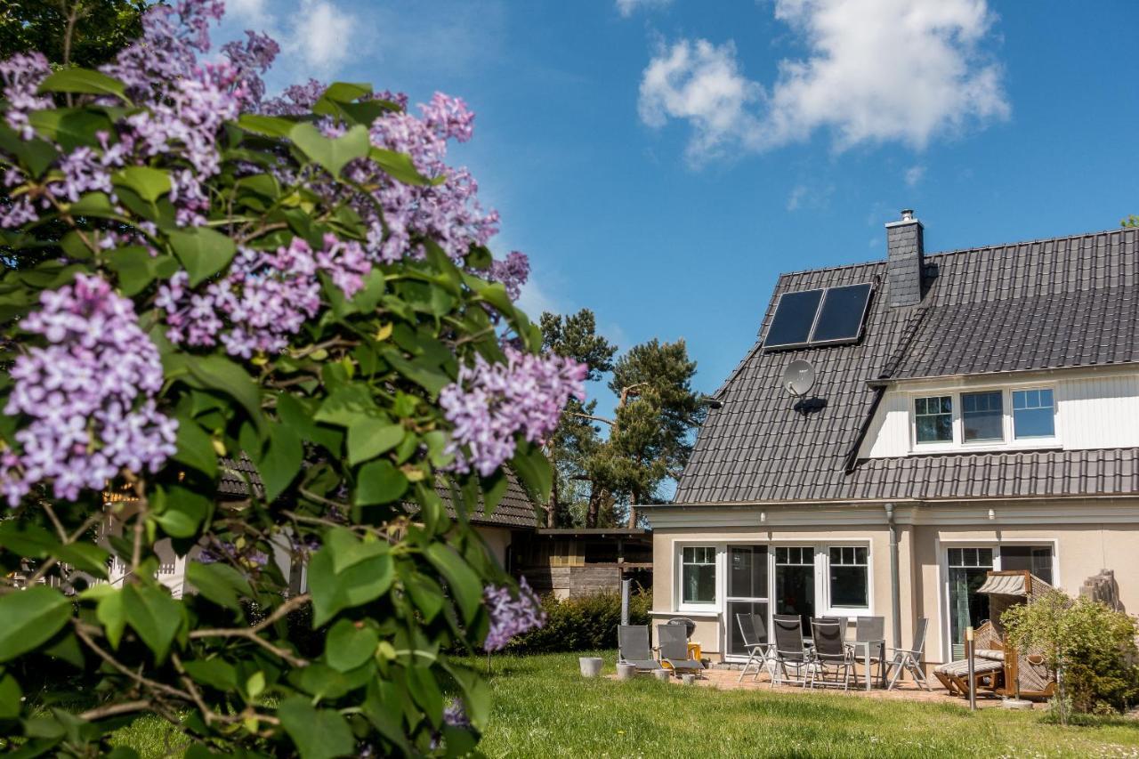 Premiumhaus Bodden Und Mehr-Brise Villa Born Buitenkant foto