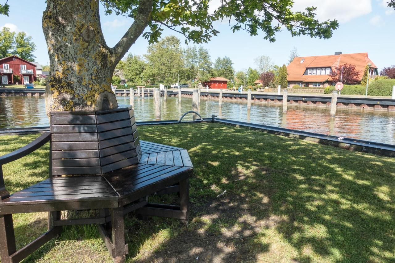 Premiumhaus Bodden Und Mehr-Brise Villa Born Buitenkant foto